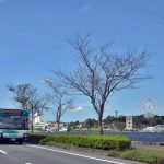 【まちづくり】「街と生き」てきた遠鉄グループの姿-浜松と遠鉄:第4回